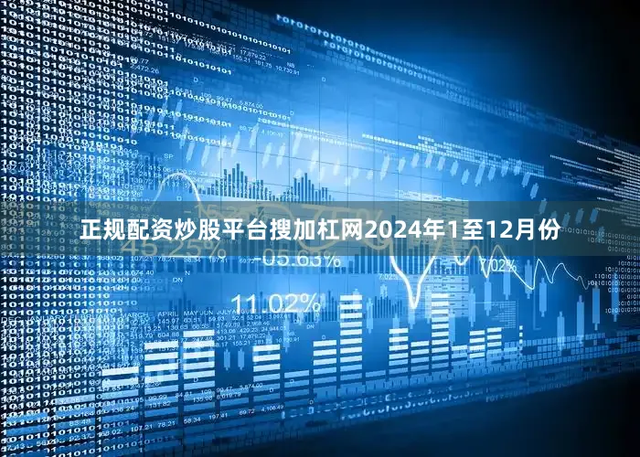 正规配资炒股平台搜加杠网　　2024年1至12月份