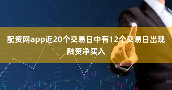 配资网app近20个交易日中有12个交易日出现融资净买入