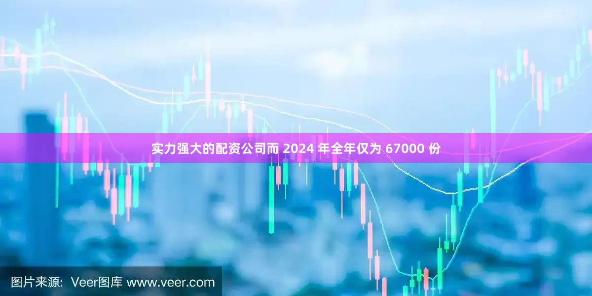 实力强大的配资公司而 2024 年全年仅为 67000 份