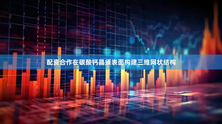 配资合作在碳酸钙晶须表面构建三维网状结构