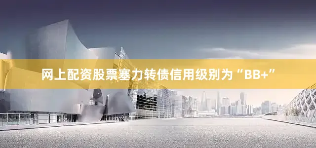 网上配资股票塞力转债信用级别为“BB+”