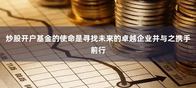 炒股开户基金的使命是寻找未来的卓越企业并与之携手前行