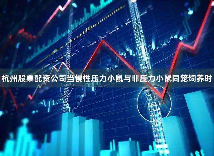 杭州股票配资公司当慢性压力小鼠与非压力小鼠同笼饲养时