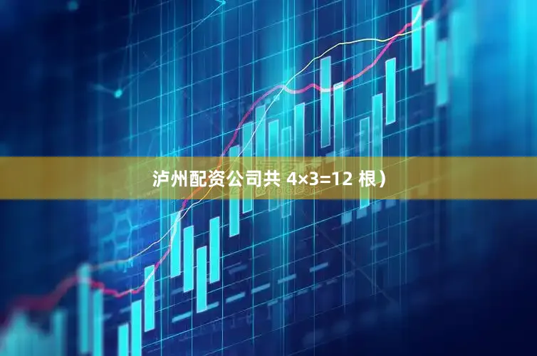 泸州配资公司共 4×3=12 根）