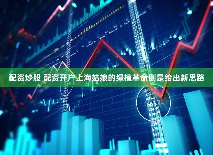 配资炒股 配资开户上海姑娘的绿植革命倒是给出新思路
