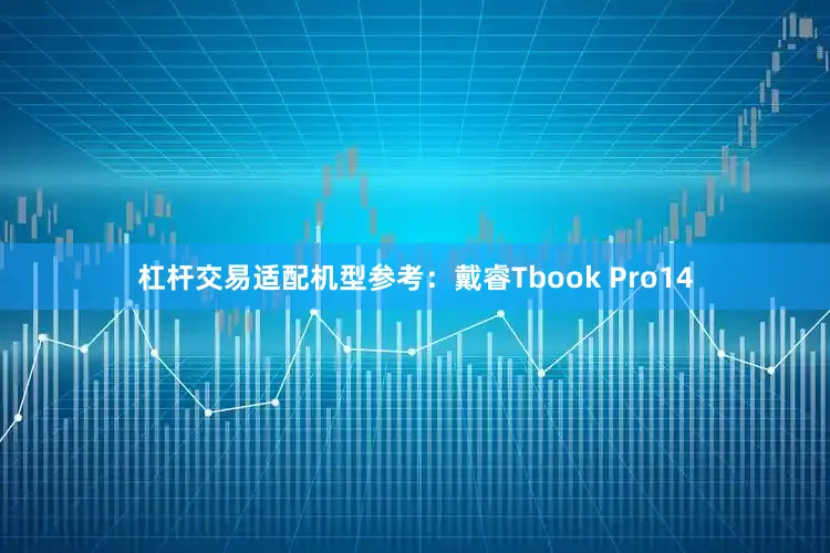 杠杆交易适配机型参考：戴睿Tbook Pro14